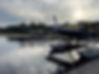 cell phone pic fishing 5.jpg
