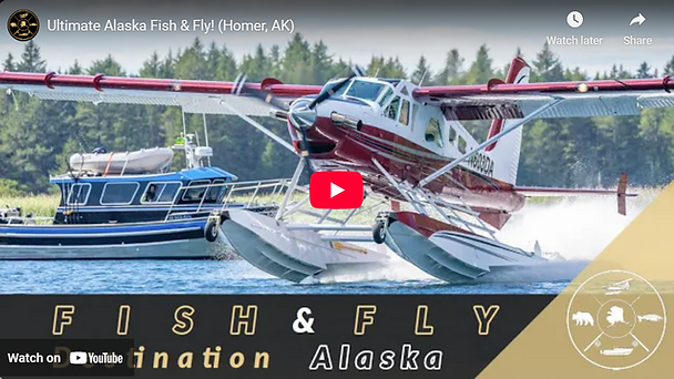 Screenshot 2025-02-26 16.28.30.png