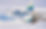 MKT_2310_737_MAX_9_air2air_018-1.jpg