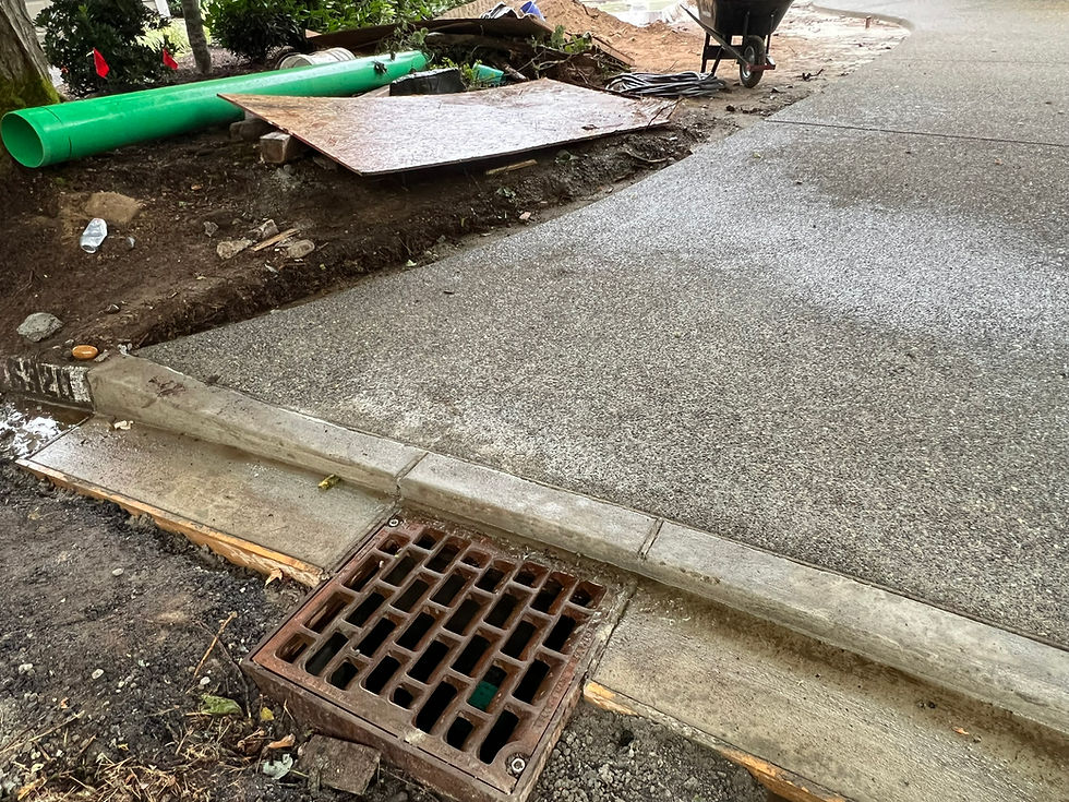 New Type 1 Catch basin