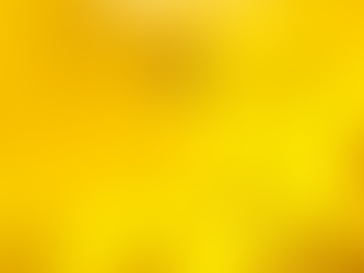 Valley of the Sunflowers