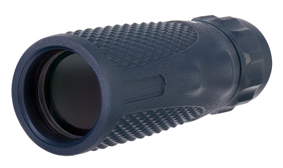 Levenhuk Discovery Gator 10x25 Monocular