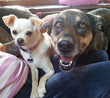 Two beautiful girls