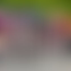 L'Amstel Gold Race "à notre place"