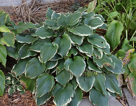 Secret Treasure0M6A7501.jpeg