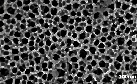 Anodized aluminum plate (10kV, Inlens)