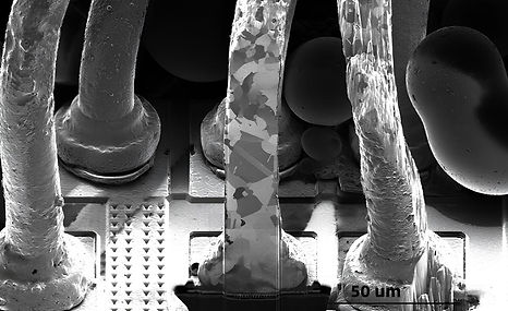 Gold Wire (30kV, ETD)