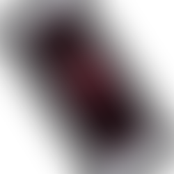 Beginning Illustrator Project