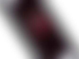 Beginning Illustrator Project