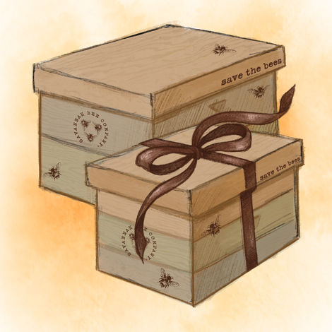 Custom Gift Boxes - concept art