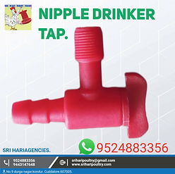 CustomImage_1713293551248.png