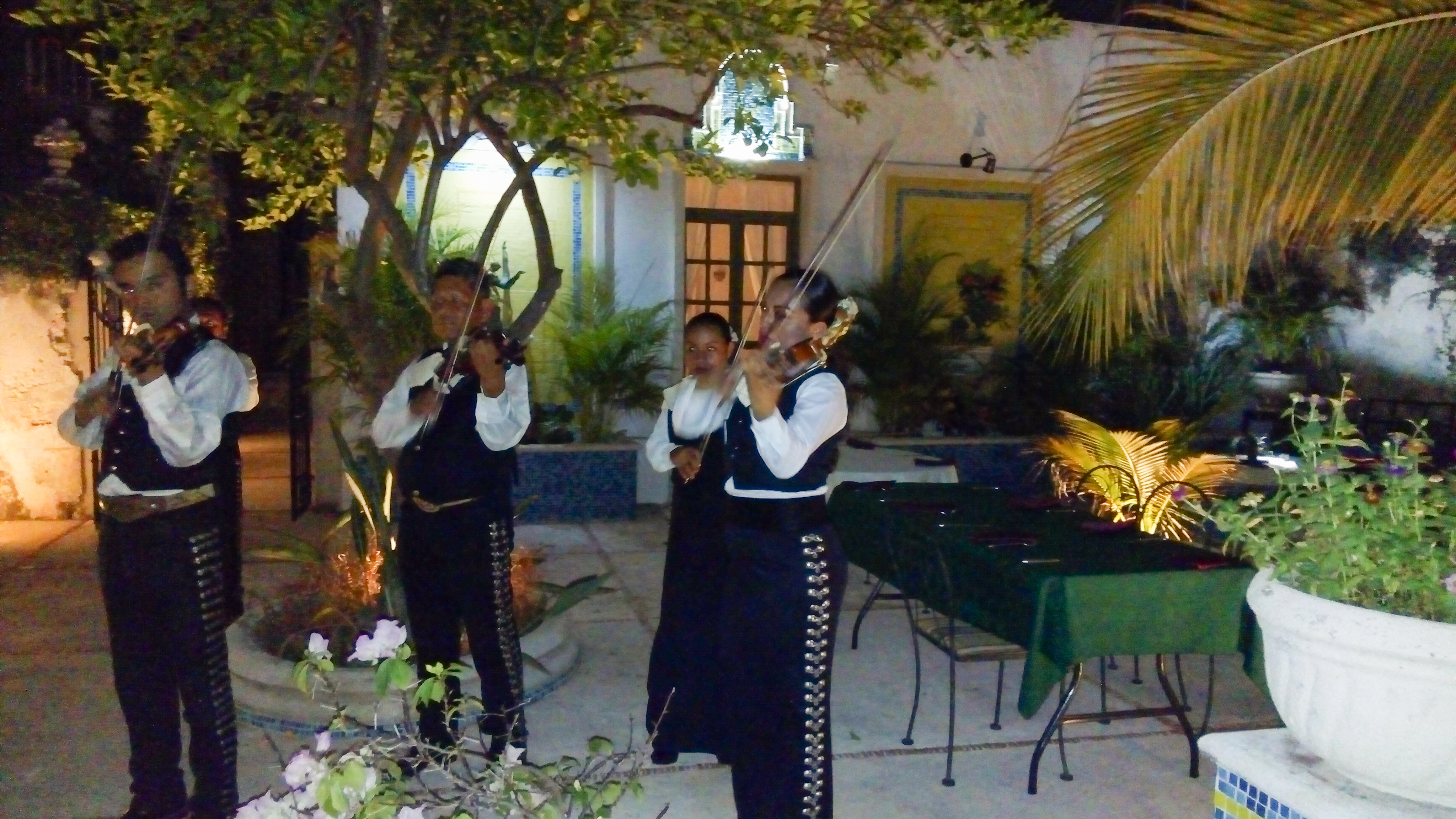 Mariachis