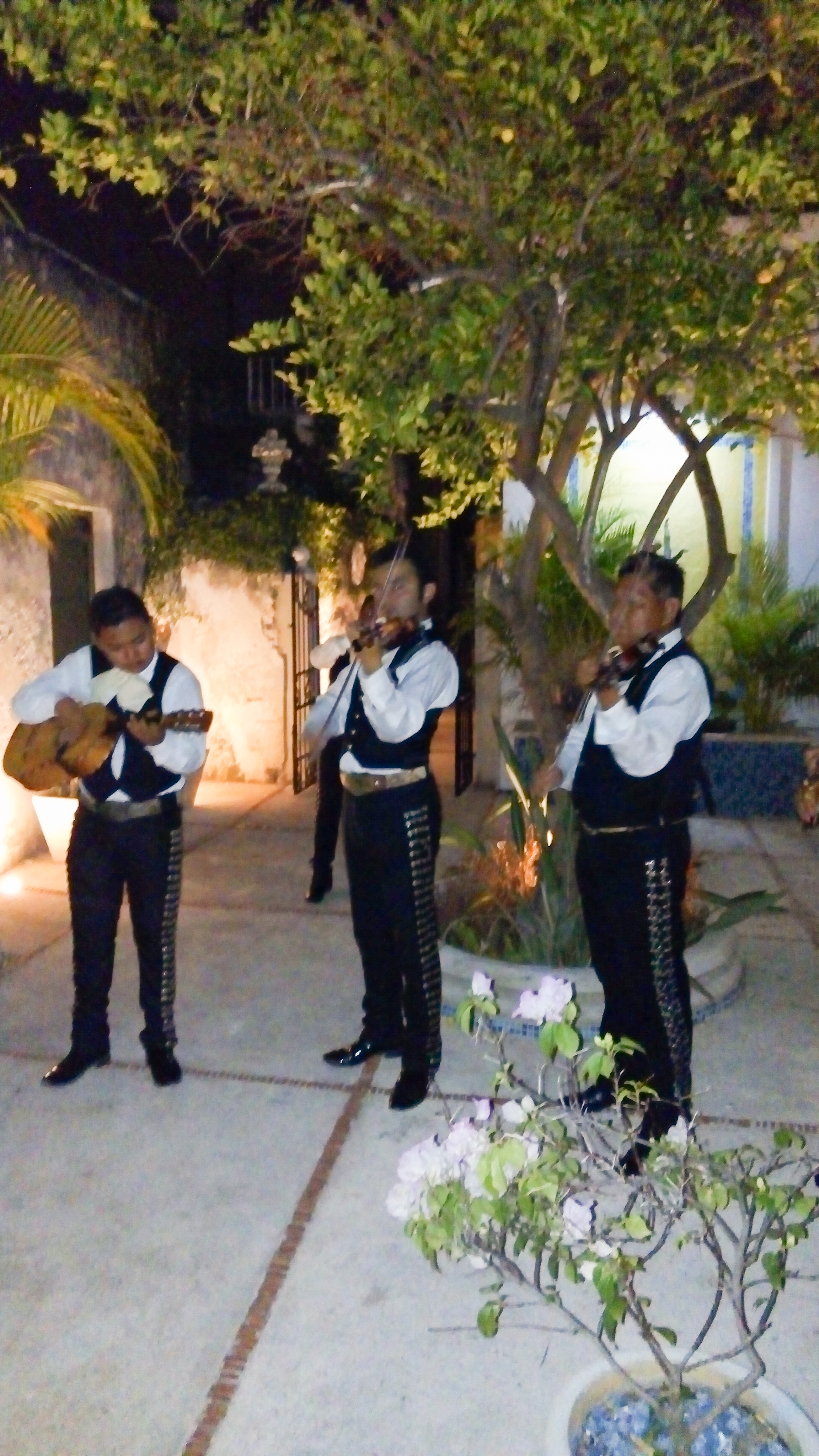 Mariachis