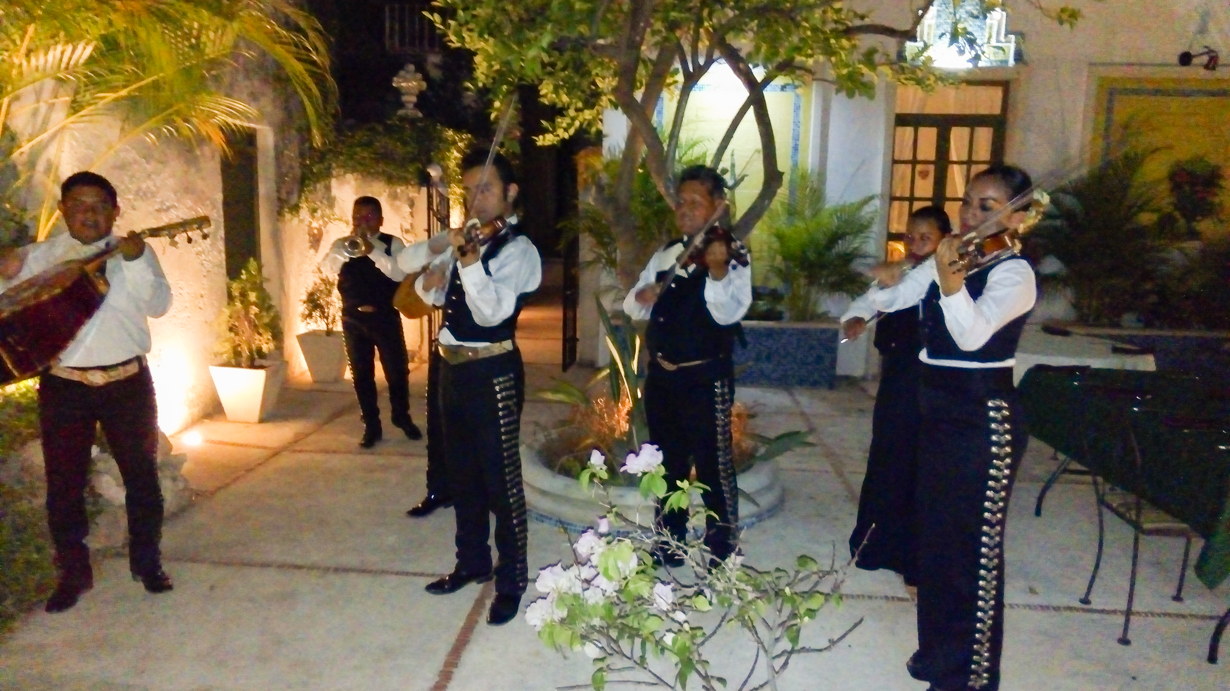 Mariachis