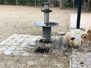 Lou + Freund @ Hundezone