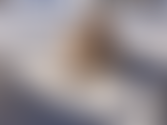 Winterurlaub mit Hund im Lungau (Land Salzburg)