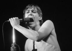 Iggy_Pop mono
