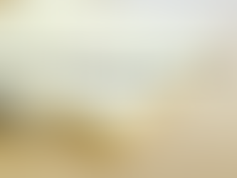 Princípios básicos de hermenêutica