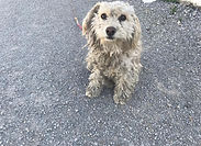 IMG-20190903-WA0003.jpg