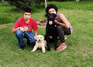 IMG-20190903-WA0007.jpg