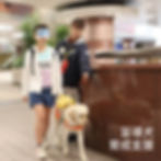 盲導犬育成支援のイメージ