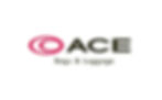 ACE（BAGS&LUGGAGE）