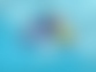 4º Feira do Livro de Guará reuniu público recorde