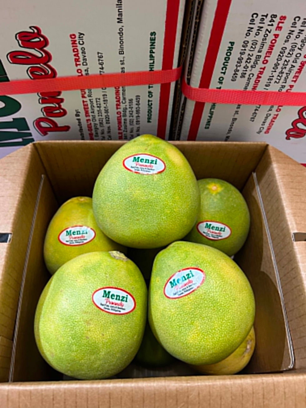 Davao Menzi Pomelo 
