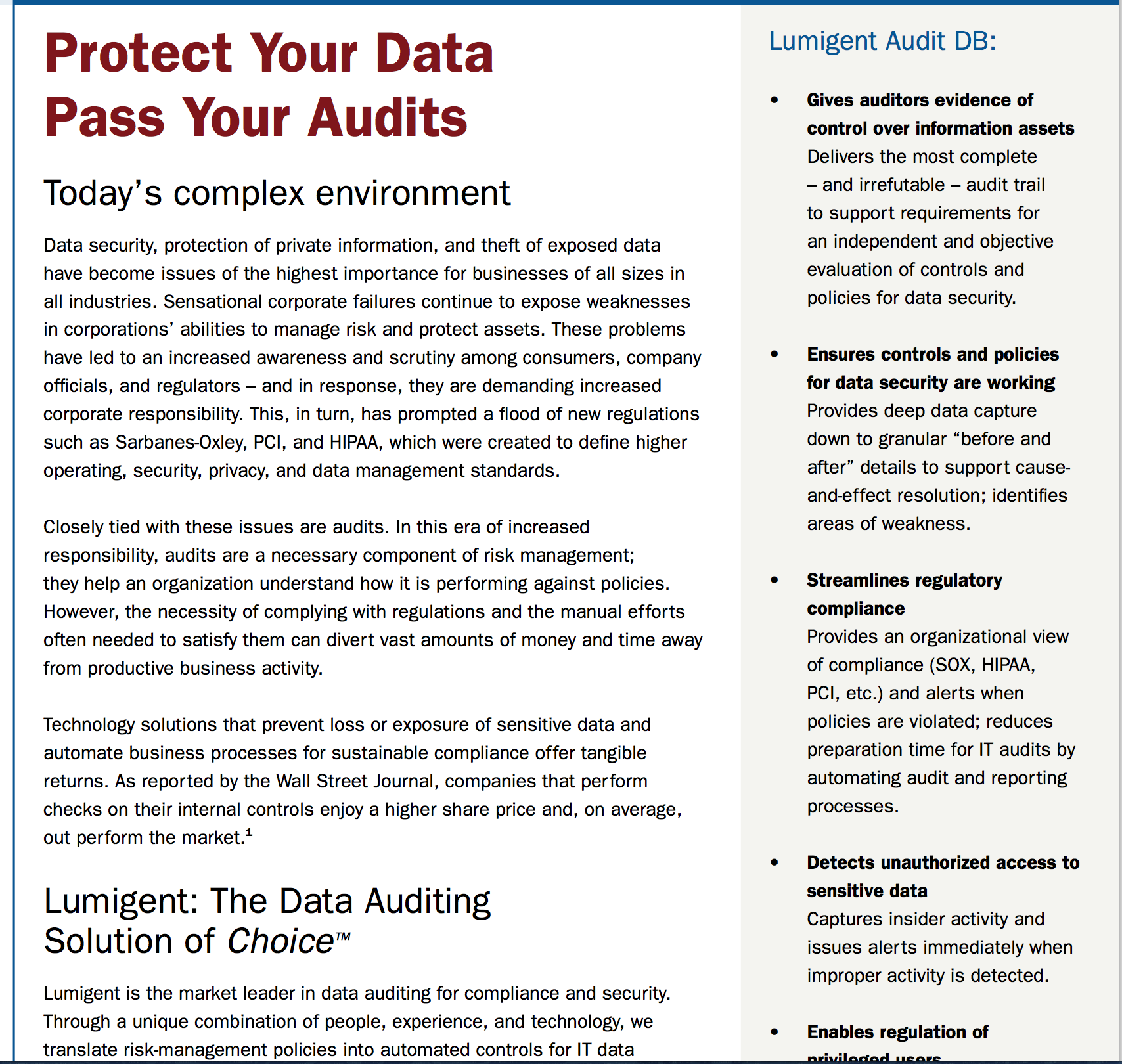 Lumigent Data Security Brochure