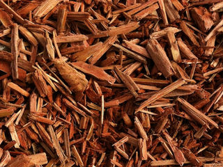 All About Mulching