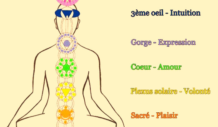 Schéma des 7 chakras du corps humain montrant la position du chakra sacré perturbé par une césarienne.