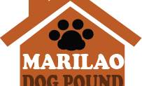 What Does the Logo of our site symbolizes?