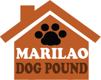What Does the Logo of our site symbolizes?