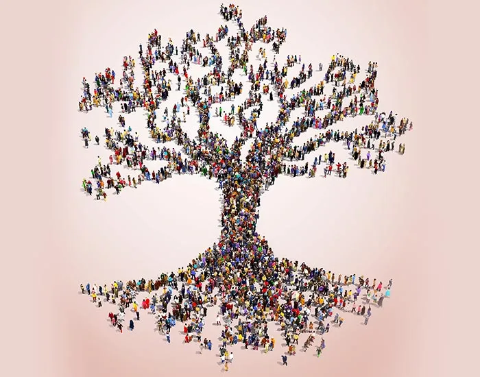 dessin d'êtres humains qui constituent un arbres avec des racines.