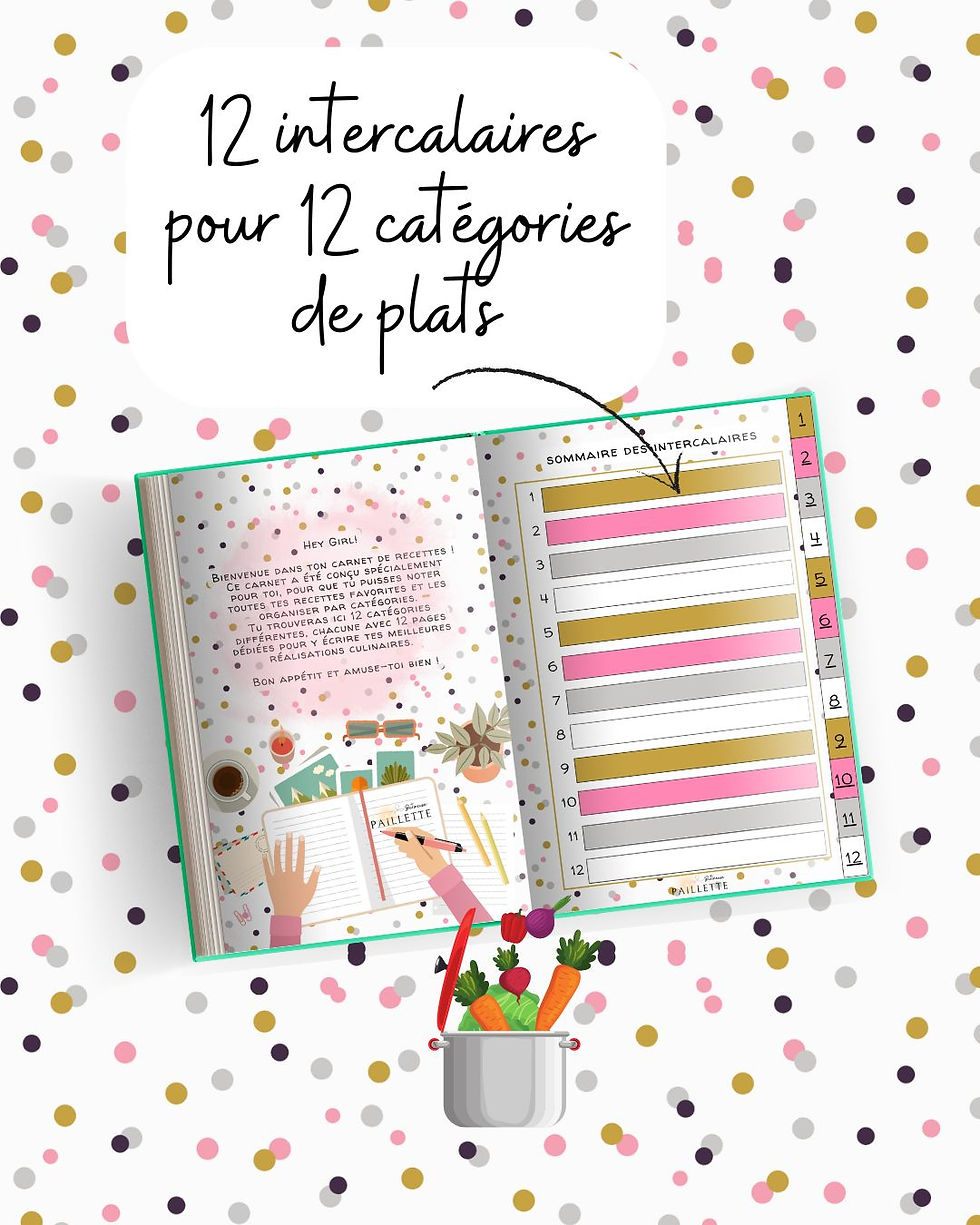 Miniature : Mon carnet de recettes salées et organisées