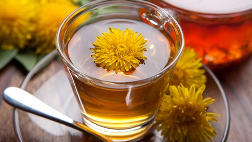 Dandelion Tea: a SoGood tea… but with a few caveats!