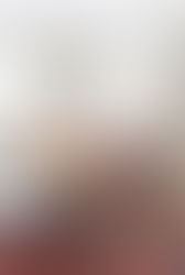 PET FRIENDLY FURNITURE AND DECORATING TIPS FOR PET LOVERS