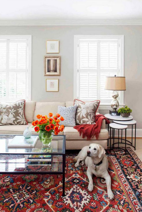 PET FRIENDLY FURNITURE AND DECORATING TIPS FOR PET LOVERS