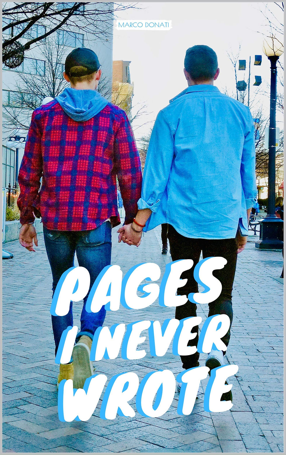 Pages I Never Wrote cover