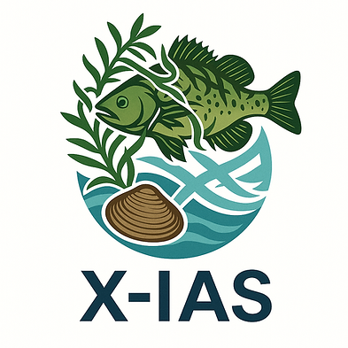 ChatGPT Image 29_10_2025, 11_16_54.png