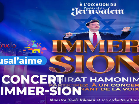 Un concert en Immer-sion