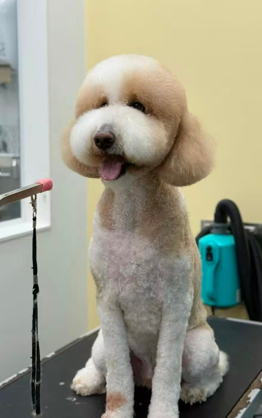 af2b60fcf9a95d0d3245d782a60dd8d