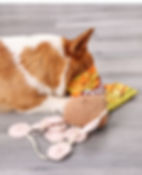 Thumbnail: Dog snuffle toy