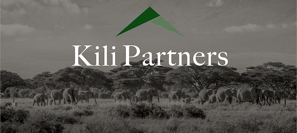 Kili Partners image.png