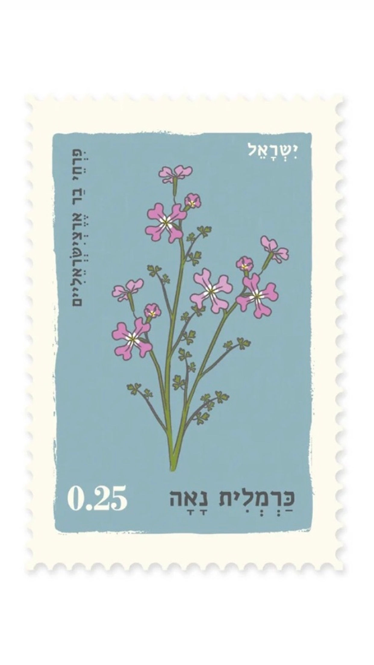 גלויה כרמלית נאה- יולטה