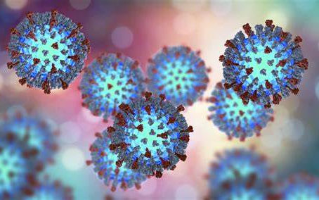 Understanding Measles: A Growing Concern in Canada and the USA