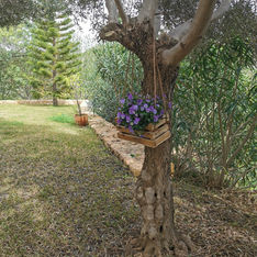 IMG_20220317_123356 (1).jpg