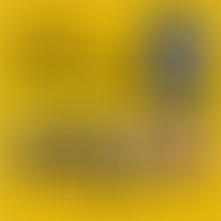 NÃO PERCA! UM CANAL PRÁ SE ASSITIR