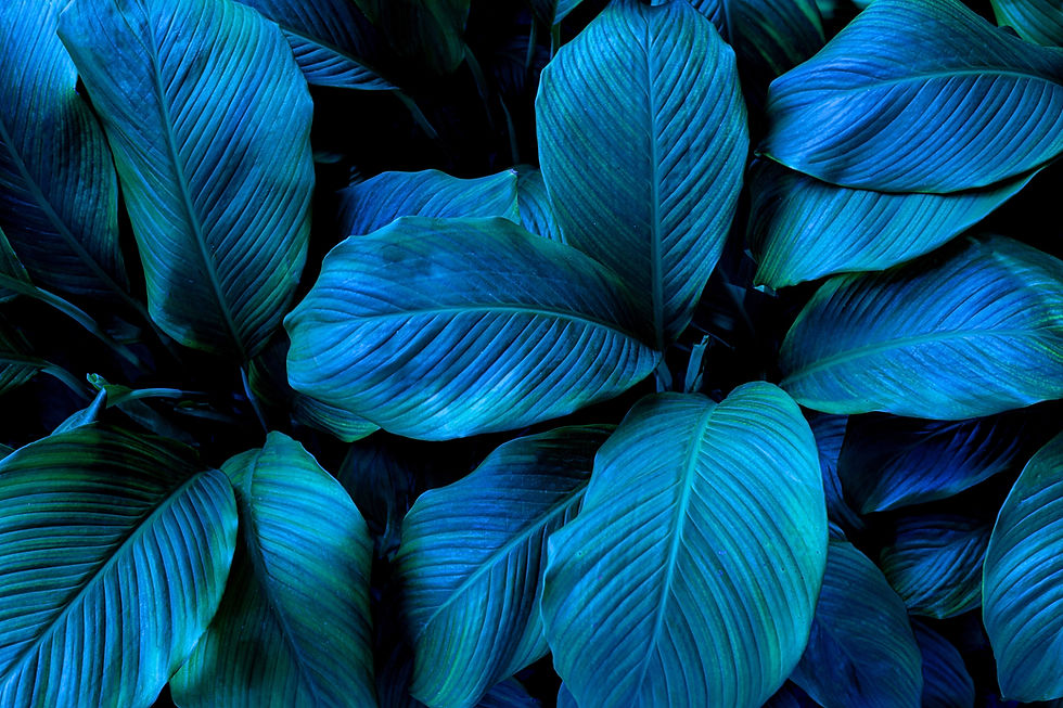 Joshua 5:1 - "God's Sovereignty Exercised"