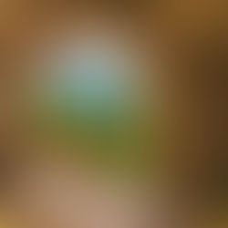 1 John 2:1,2 - "The Advocate"